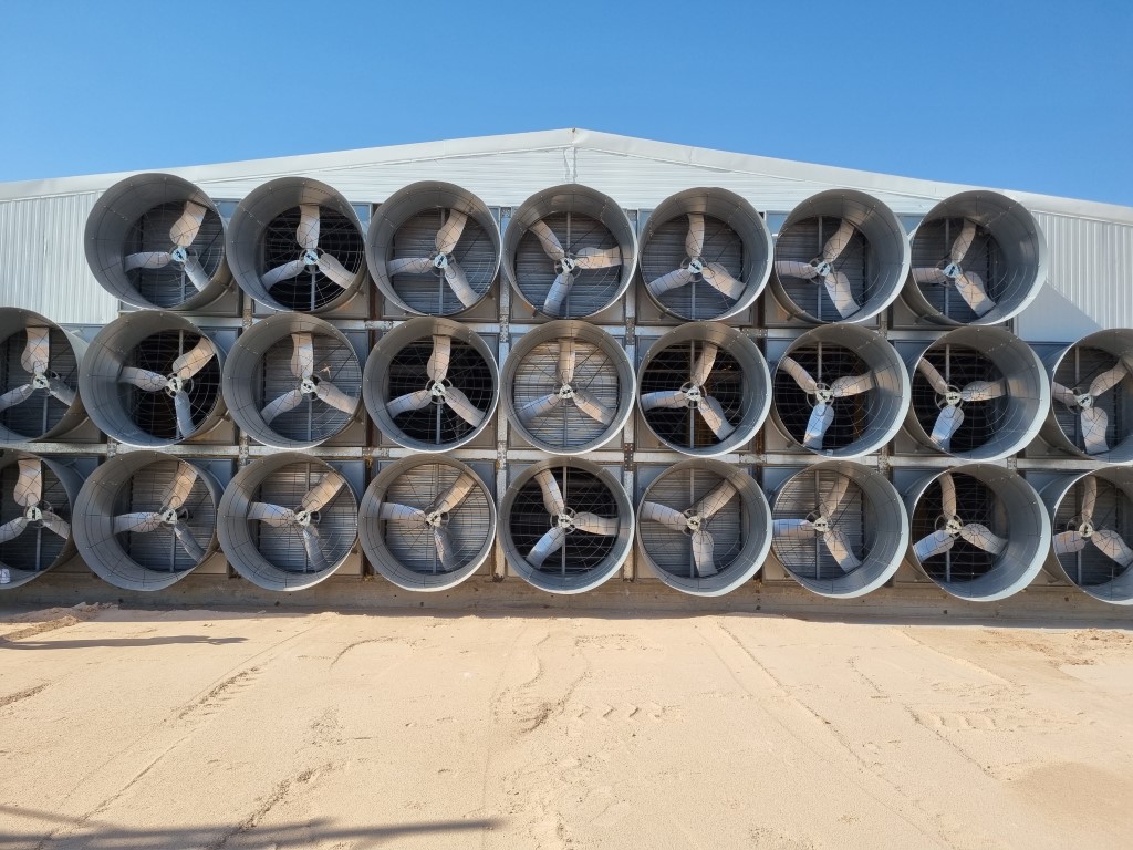 portfolio item image